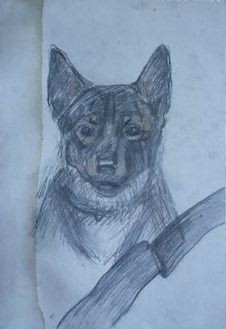 Портрет собаки художника